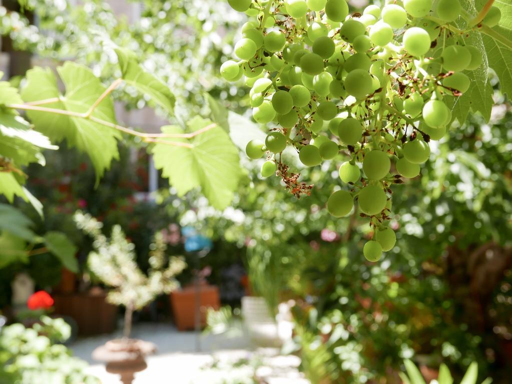 Vieux Port Panier Jardin Hotel Marselha Exterior foto